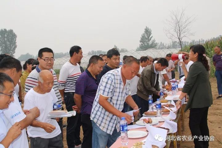 協(xié)會薯業(yè)專業(yè)委員會“甘薯新品種品鑒及輕簡化高效栽培技術現(xiàn)場觀摩會”成功舉辦