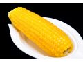 鮮食玉米的機(jī)會(huì)來(lái)了，河北省建設(shè)41萬(wàn)畝基地，還要打造國(guó)際品牌